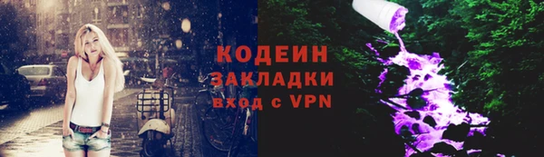 прущие грибы Балабаново