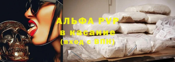 прущие грибы Балабаново