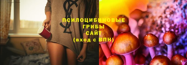прущие грибы Балабаново