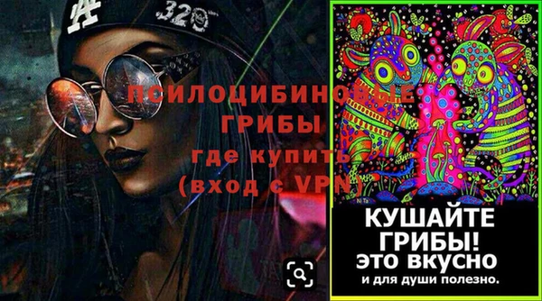 прущие грибы Балабаново