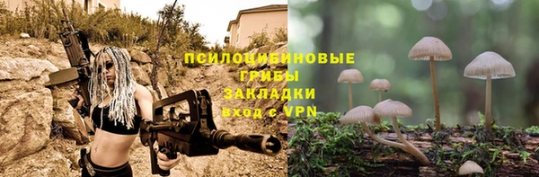 СК Беломорск