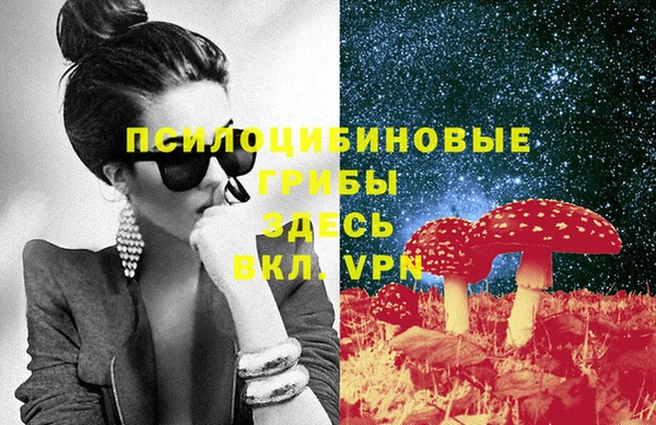 прущие грибы Балабаново