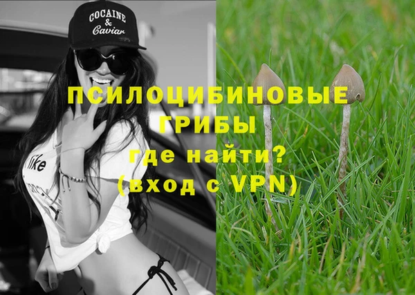 прущие грибы Балабаново