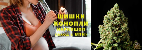 прущие грибы Балабаново