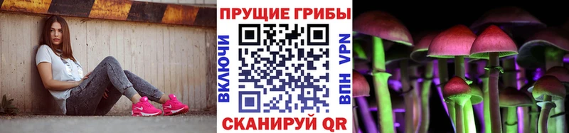 где продают наркотики  Судак  маркетплейс как зайти  Псилоцибиновые грибы мицелий 